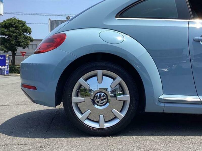 THE BEETLE