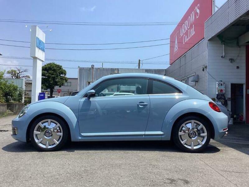 THE BEETLE