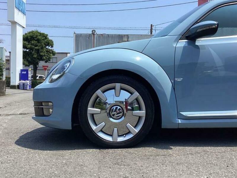THE BEETLE