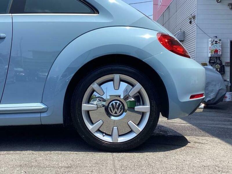 THE BEETLE