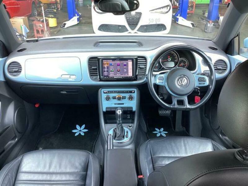 THE BEETLE