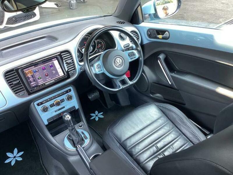 THE BEETLE