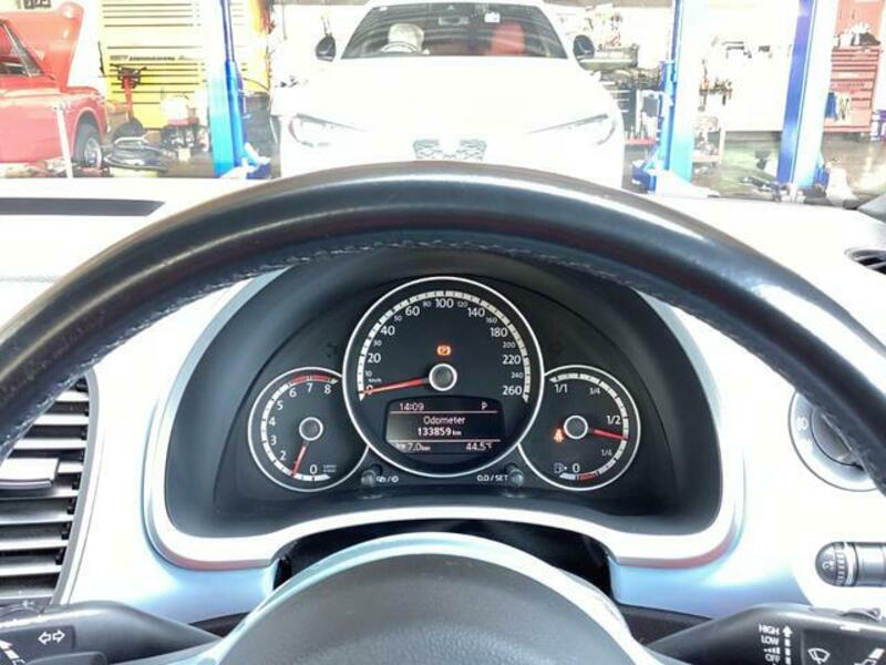 THE BEETLE