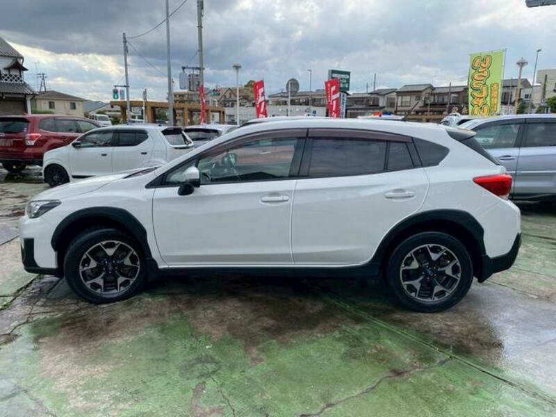 XV