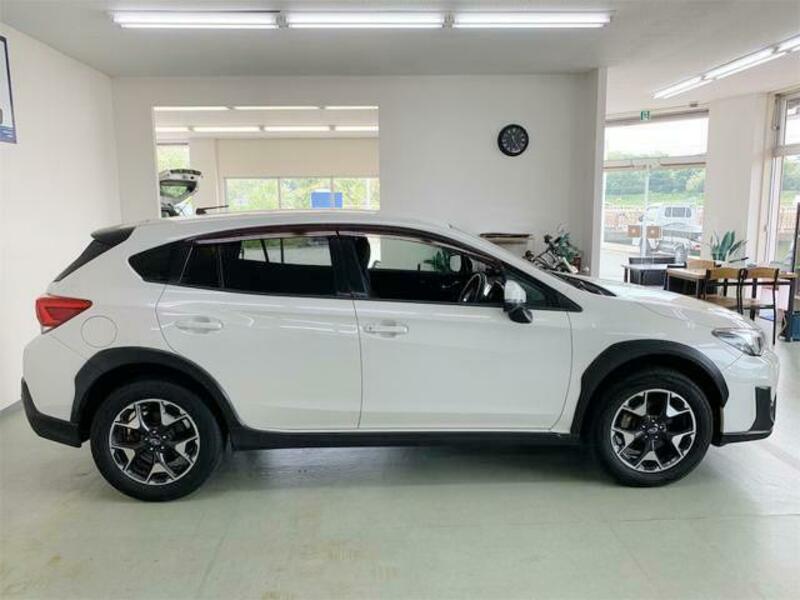 XV