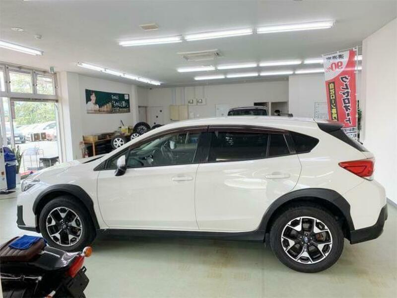 XV