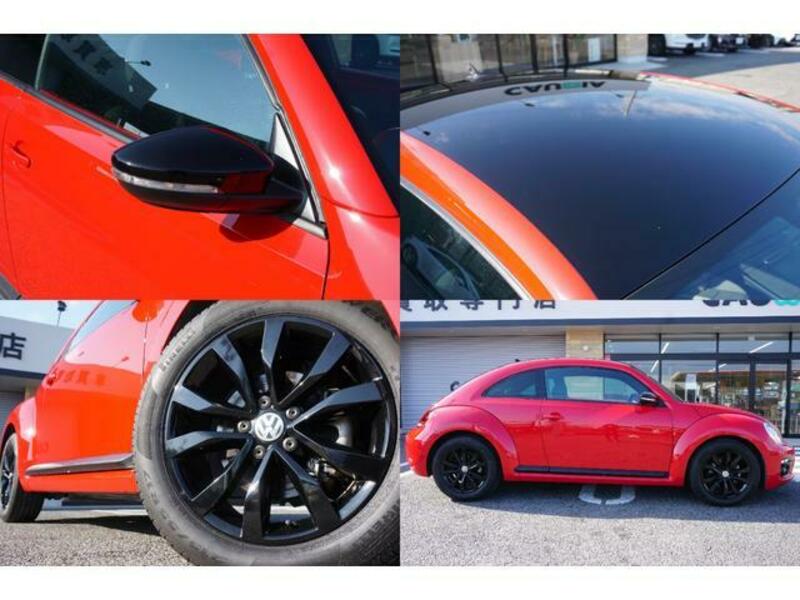 THE BEETLE