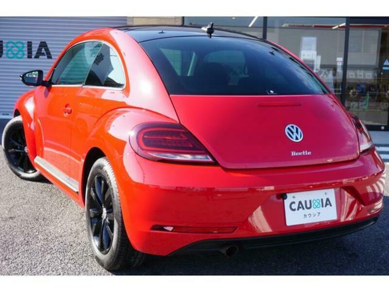 THE BEETLE