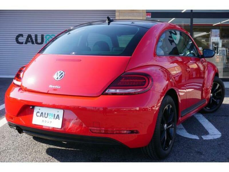 THE BEETLE