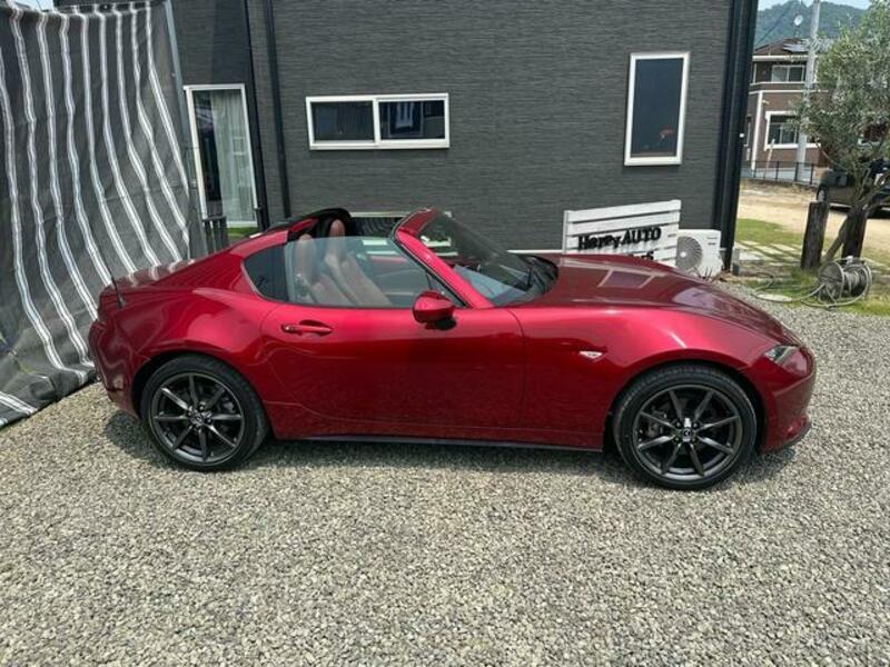 ROADSTER RF