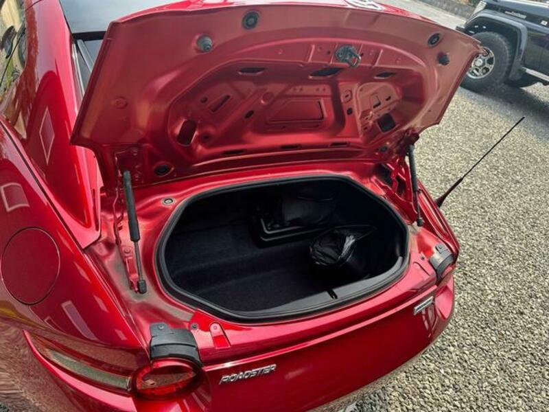 ROADSTER RF