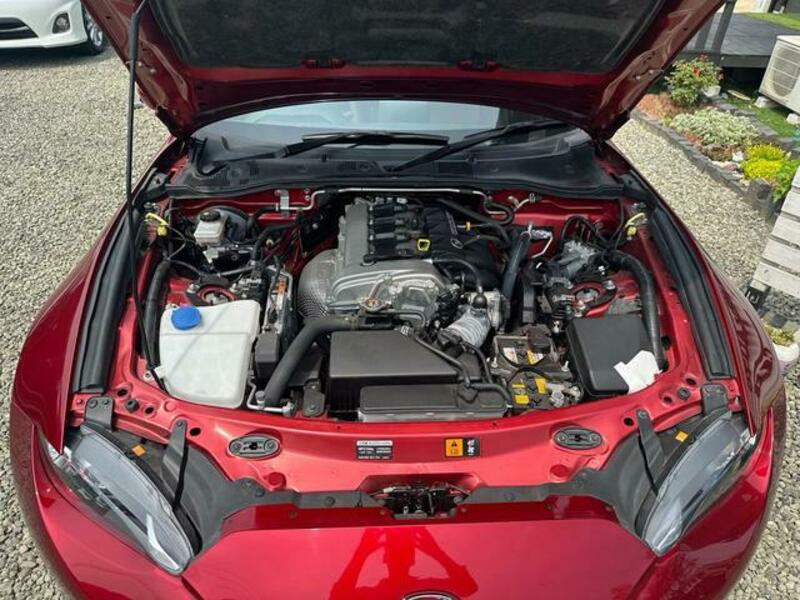 ROADSTER RF