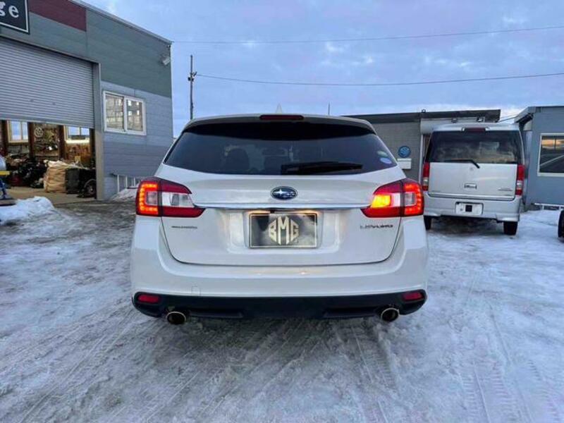 LEVORG
