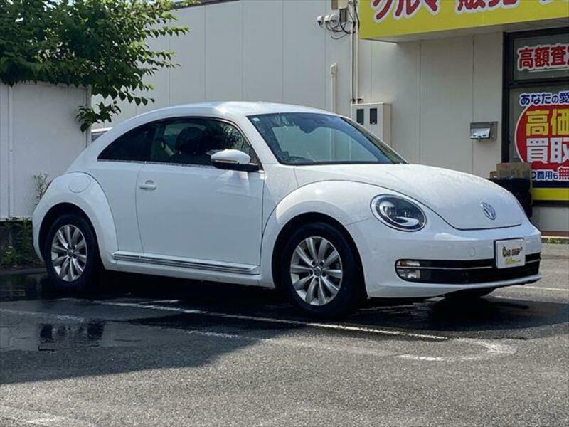 THE BEETLE