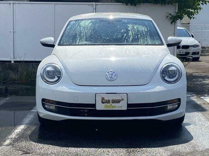 THE BEETLE