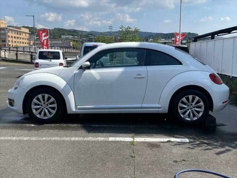 THE BEETLE