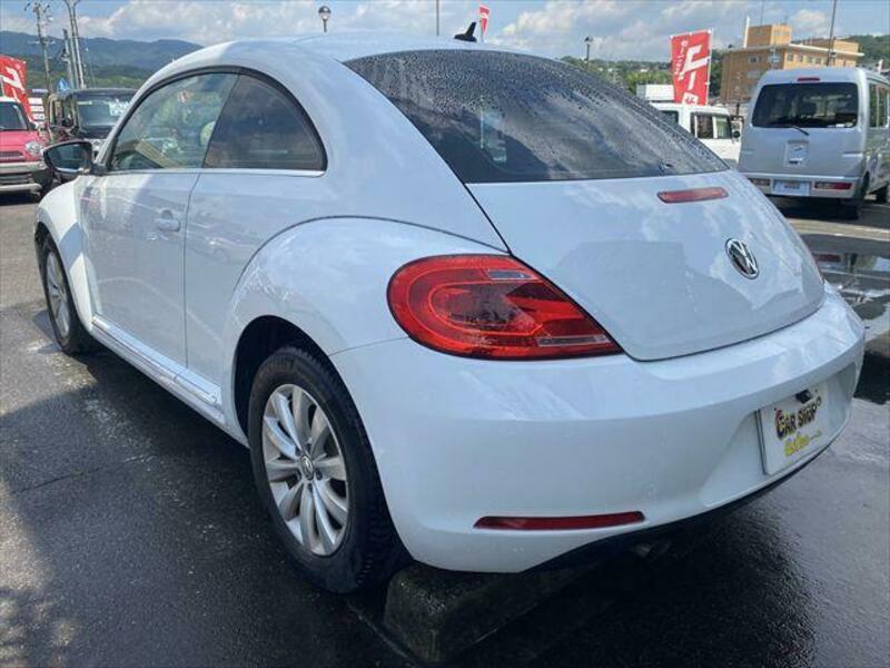THE BEETLE