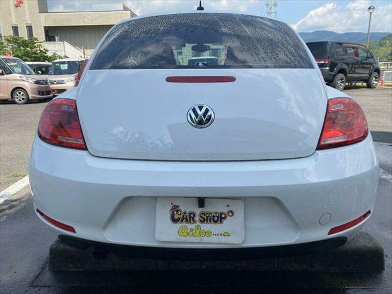 THE BEETLE