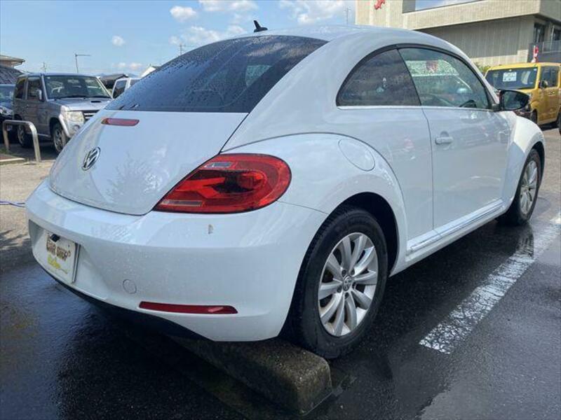 THE BEETLE