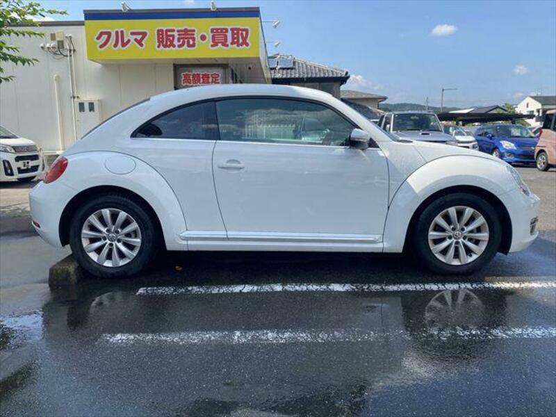 THE BEETLE