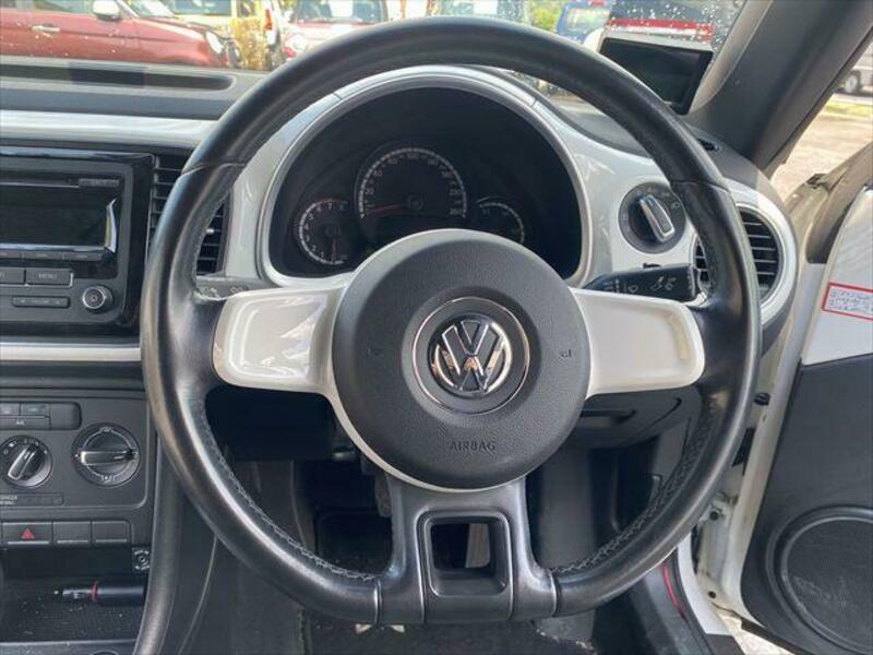 THE BEETLE
