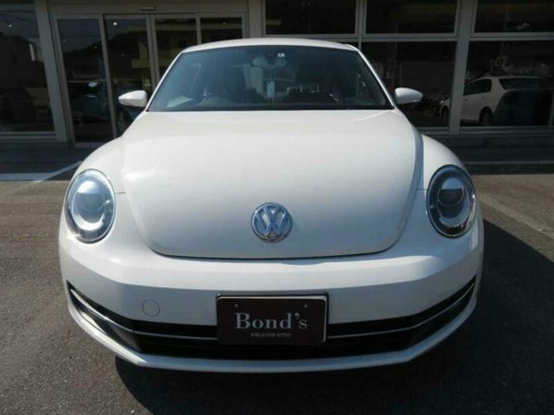 THE BEETLE