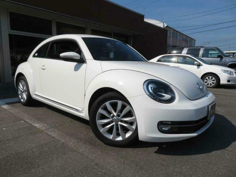 THE BEETLE