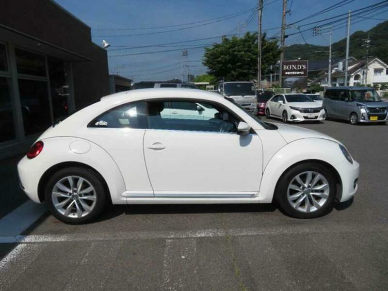 THE BEETLE