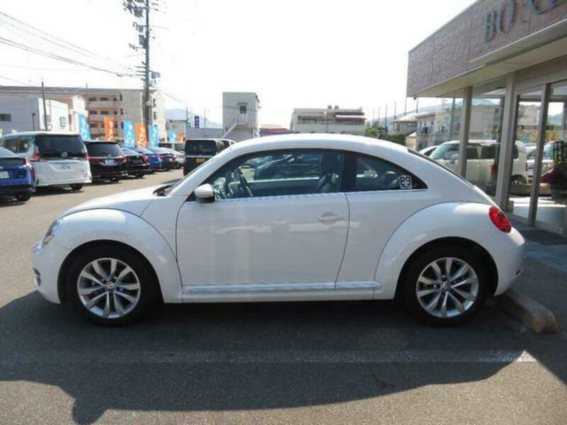 THE BEETLE