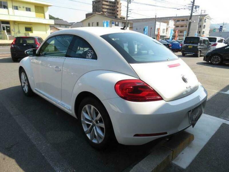 THE BEETLE
