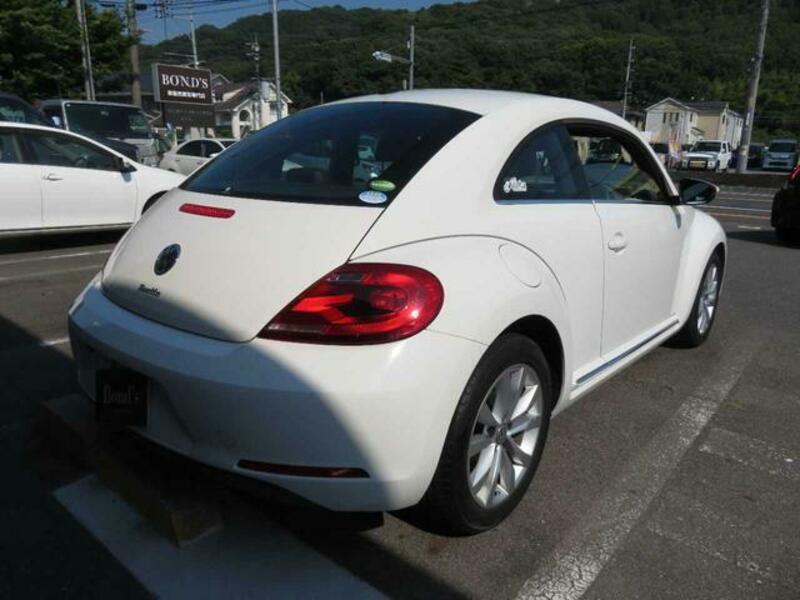 THE BEETLE