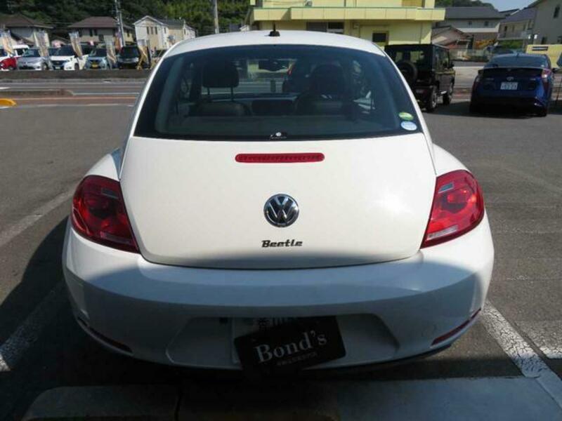 THE BEETLE