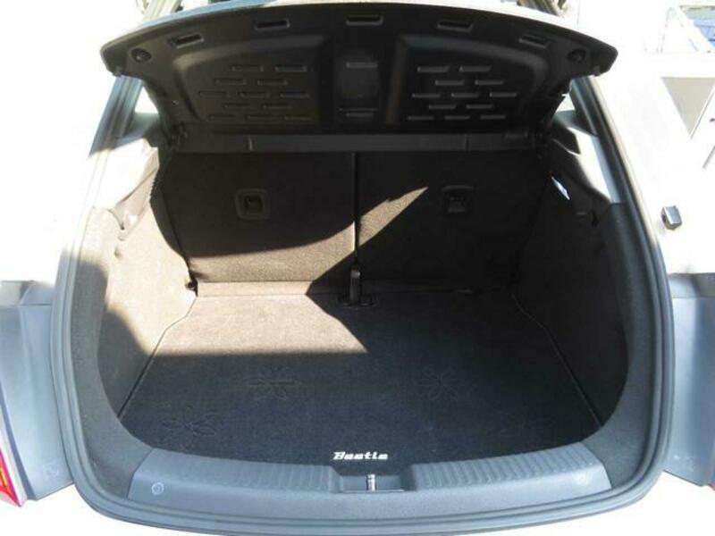 THE BEETLE