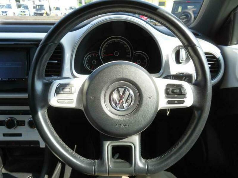 THE BEETLE