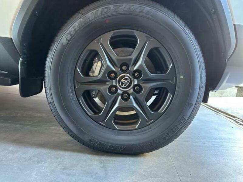 LAND CRUISER