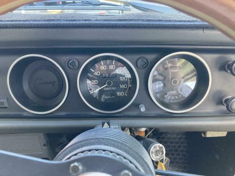 SUNNY TRUCK