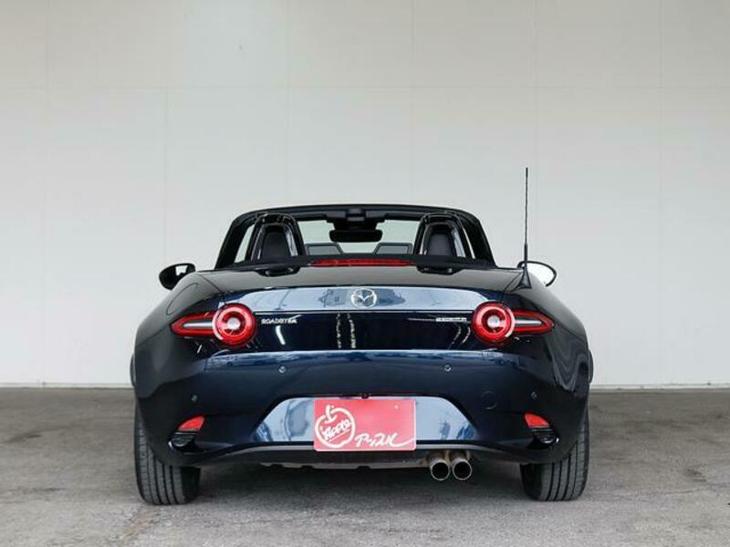 ROADSTER