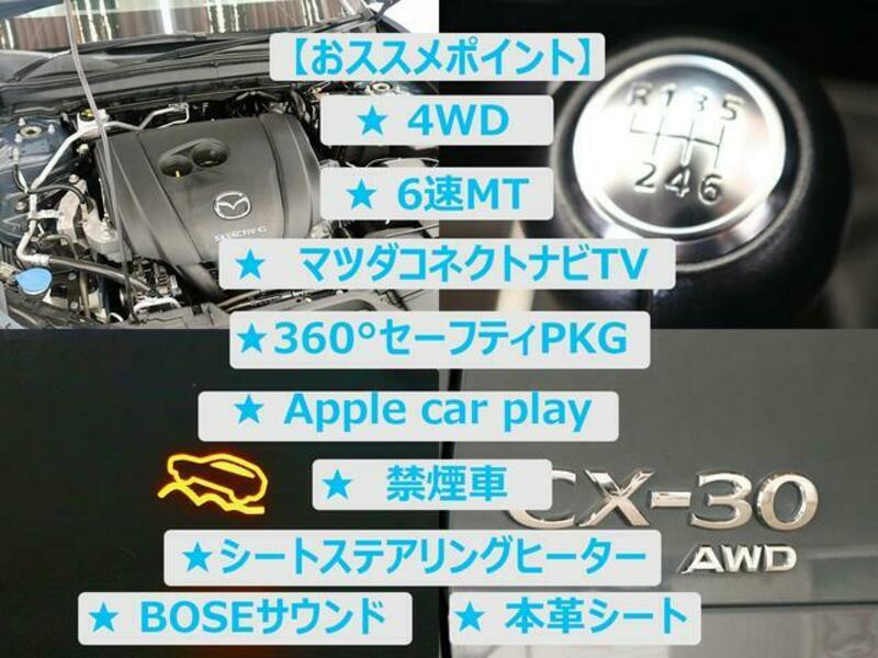 CX-30