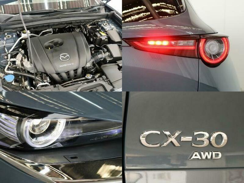CX-30