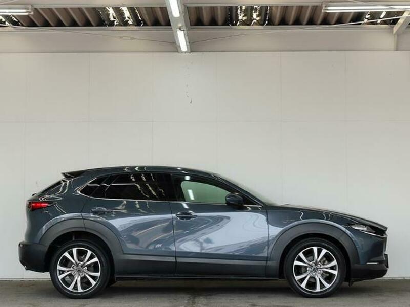 CX-30