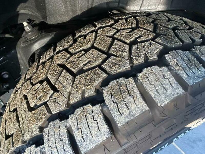 LAND CRUISER 250
