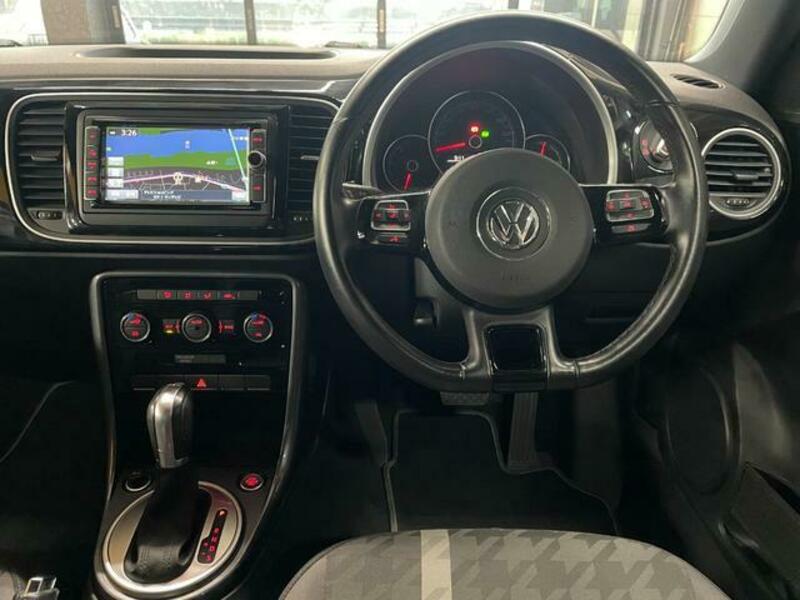 THE BEETLE