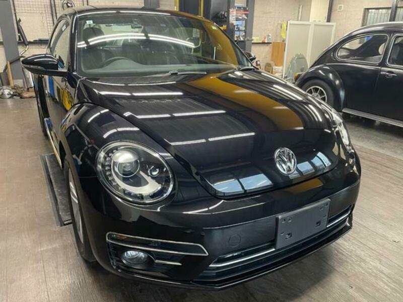 THE BEETLE
