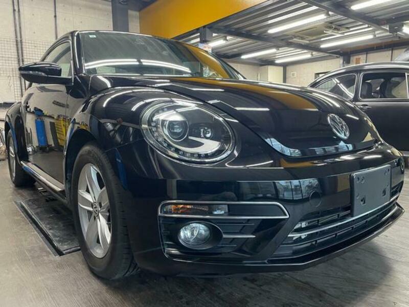 THE BEETLE