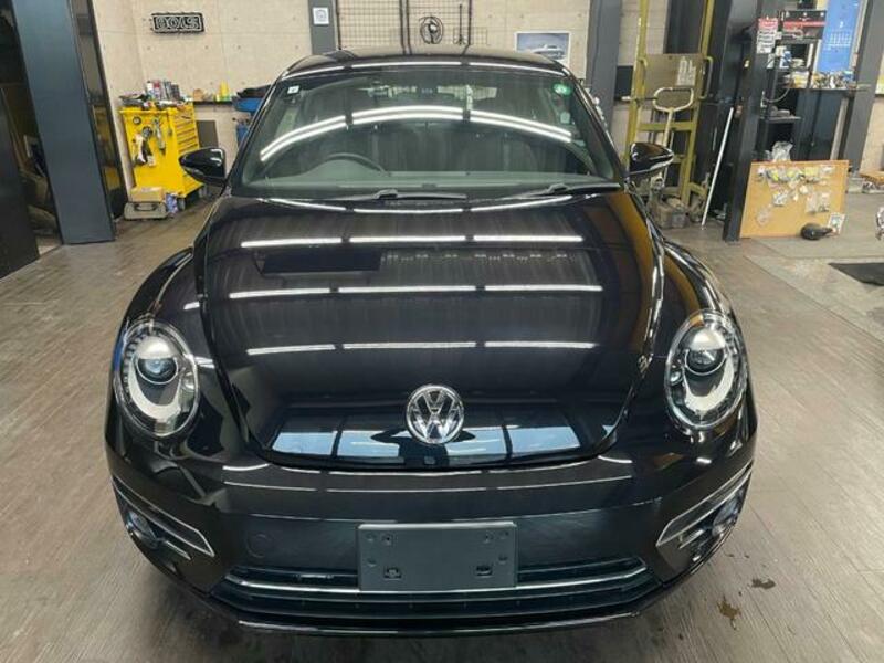 THE BEETLE