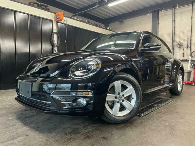THE BEETLE