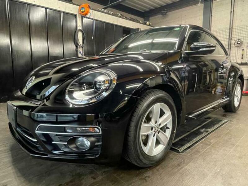 THE BEETLE