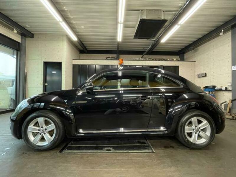 THE BEETLE