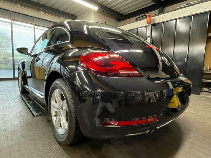 THE BEETLE