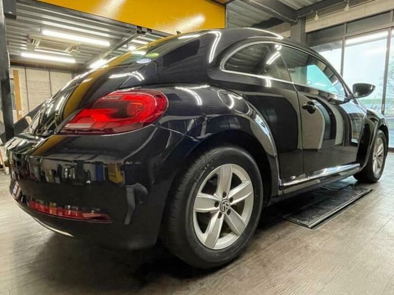 THE BEETLE